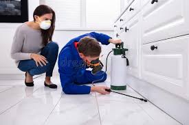 Best Fumigation Services  in Union, MO